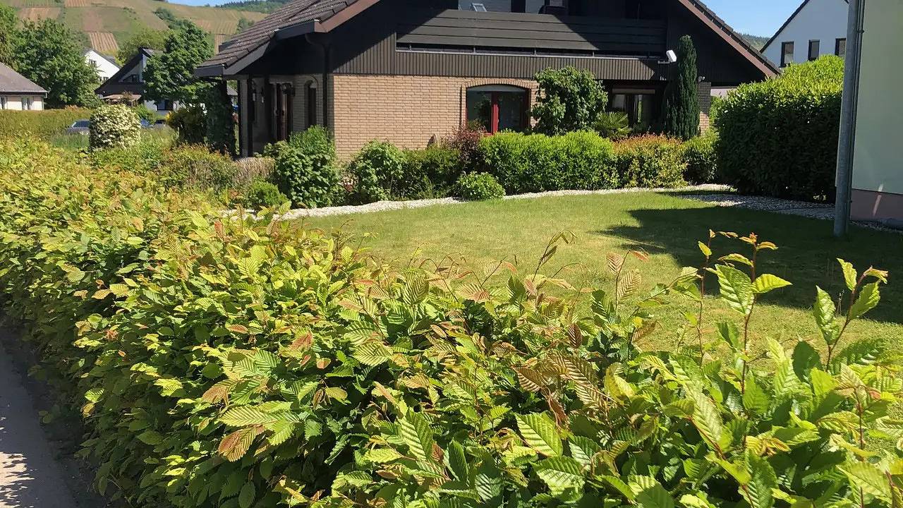 Ganze Ferienwohnung, Ferienwohnung für 4 Personen (60 m²) in Riol in Riol, Moseleifel