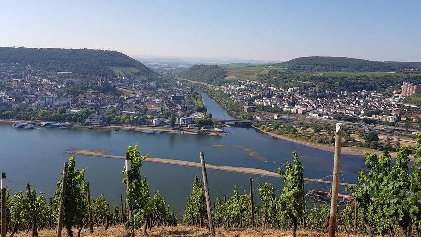 Ferienwohnung für 3 Personen, mit Balkon in Rüdesheim am Rhein - 2