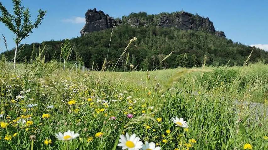 Ferienwohnung für 4 Personen, mit Balkon in Königstein - 2