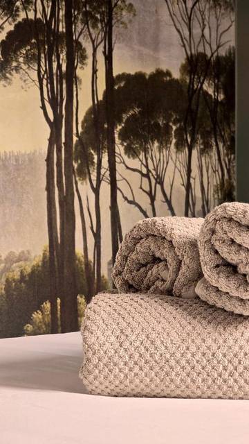 Gîte pour 4 personnes, avec terrasse dans Lens (Hinaut)