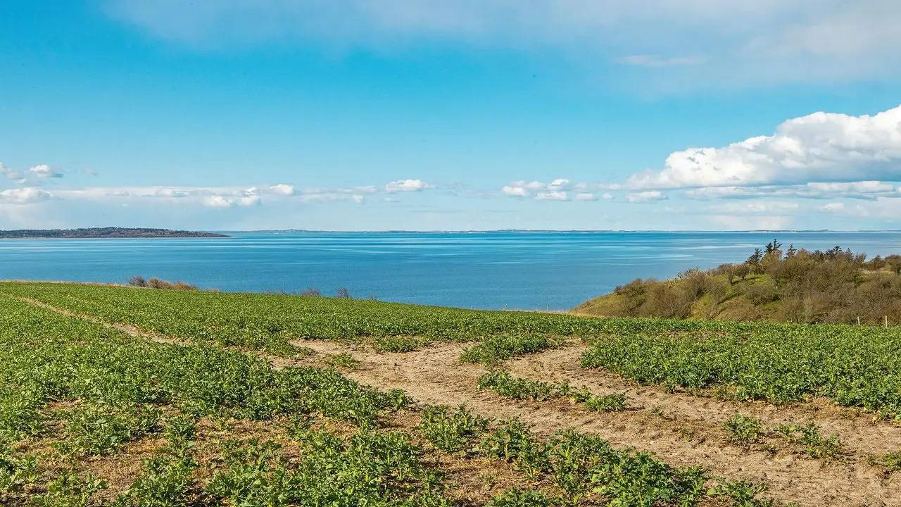 Ferienhaus für 6 Personen (85 m²) in Ranum in Limfjord in Nordjütland