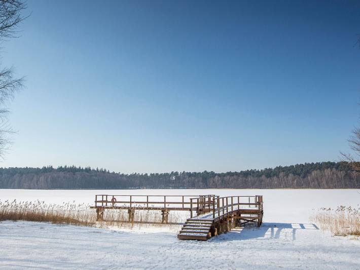Ferienpark für 4 Personen, mit Terrasse und Pool sowie Sauna und Garten, kinderfreundlich in Mecklenburgische Seenplatte - 4
