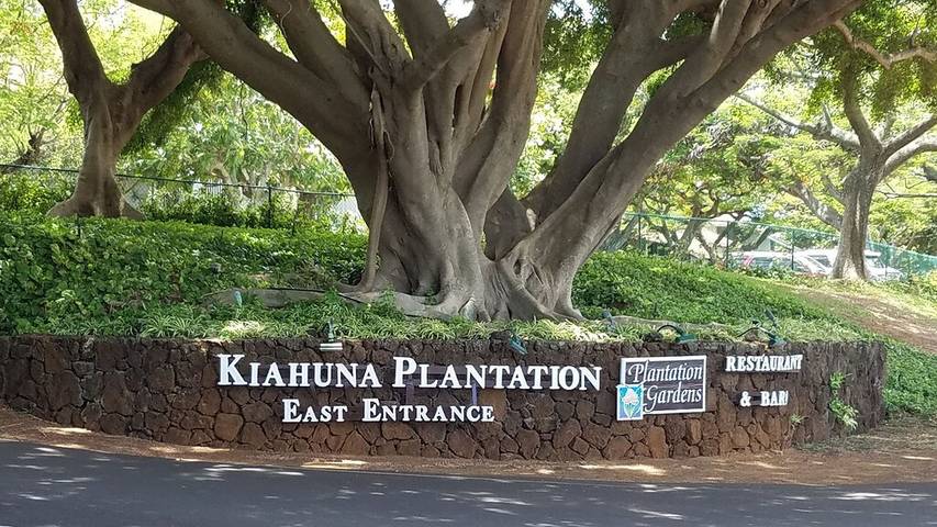 Beach rental for 4 people, with pool and yard as well as hot tub in Poipu