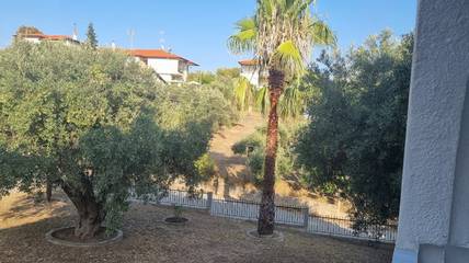 Appartamento Vacanze per 4 Persone in Agios Nikolaos Chalkidiki, Sithonia, Foto 1