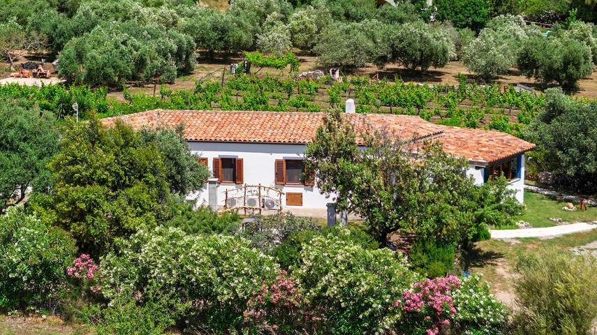 Gîte pour 3 personnes, avec jardin, adapté aux familles dans Cardedu - 2