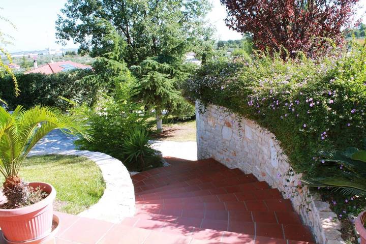 Location de vacances pour 2 personnes, avec jardin, animaux acceptés à Corato - 4