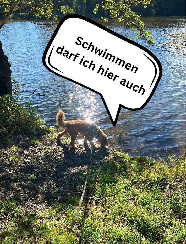 Ferienhaus für 3 Personen, mit Garten und Terrasse, mit Haustier in Thüringen