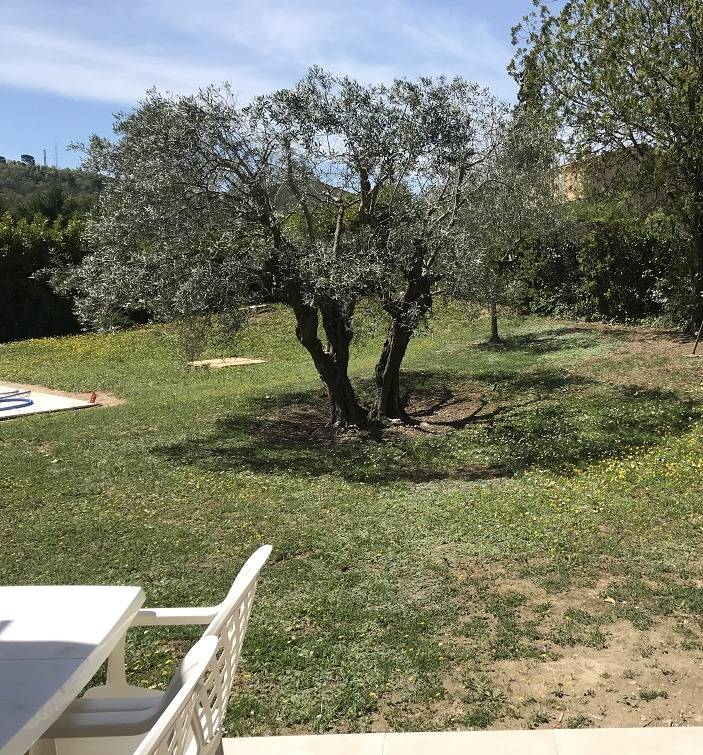Gîte pour 3 personnes, avec terrasse ainsi que jardin et piscine dans Thermes de Gréoux les Bains - 3