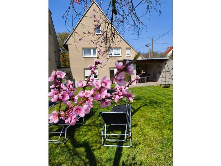 Urlaub im Neuseenland in Frohburg, Leipzig und Umgebung
