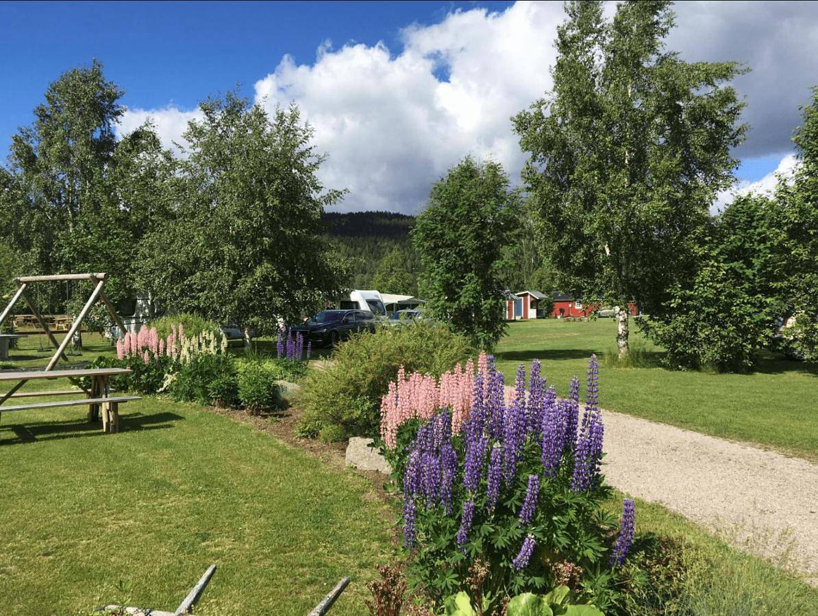Alevi Camping in Värmland