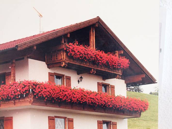 Ferienwohnung für 2 Personen, mit Balkon und Garten in Lechbruck am See - 4