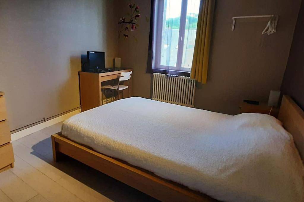 Appartement entier, Vaste appartement Le Family avec vue sur la Vienne in Chinon, Vallée de la Loire