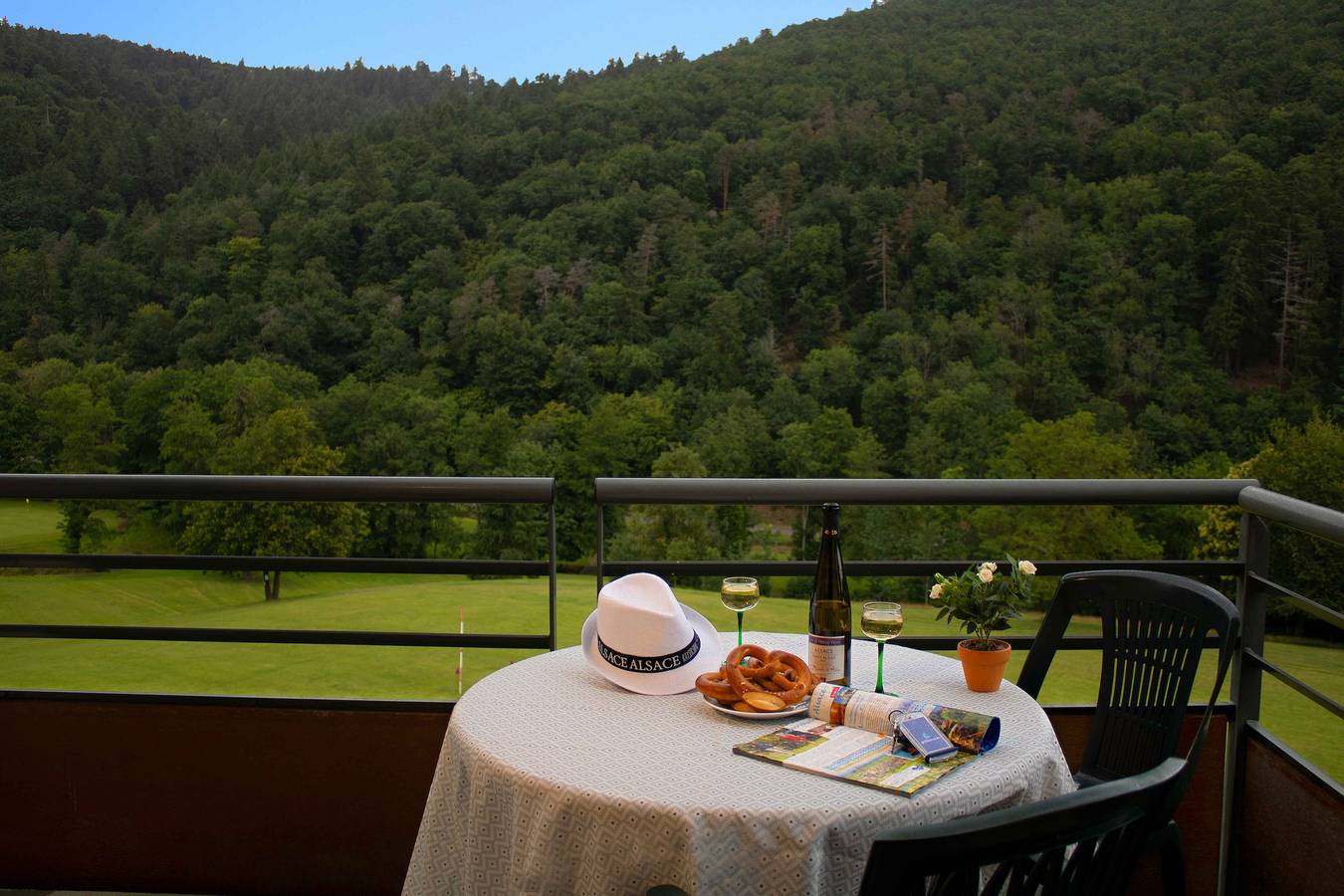 Studio entier, Studio pour 2 personnes avec piscine in Ammerschwihr, Parc naturel régional des Ballons des Vosges