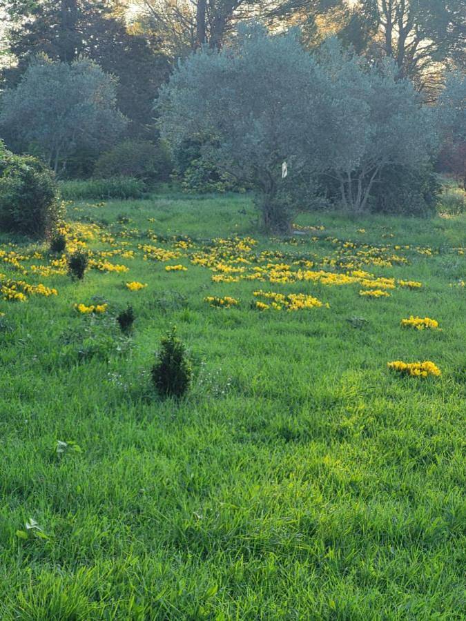 Location de vacances pour 2 personnes à Sérignan-du-Comtat - 2