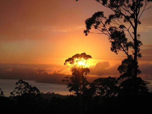 Gîte pour 2 personnes, avec vue et jardin dans Australie - 4