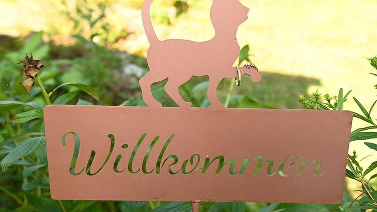 Ferienhaus für 2 Personen (48 m²) in Lohmen in Lohmen Sassonia, Elbsandsteingebirge