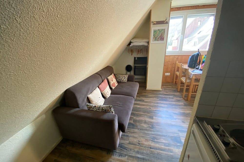 Appartement entier, Studio cosy pour 3 pers, 200m des pistes, Le Pleynet in La Ferrière, Le Pleynet Les Sept Laux