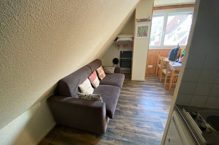 Entire apartment, Cozy studio for 3, 200m from slopes, Le Pleynet in La Ferrière, Le Pleynet