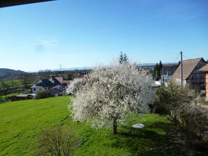 Gîte pour 4 personnes, avec Jardin et Vue à Kembs - 4