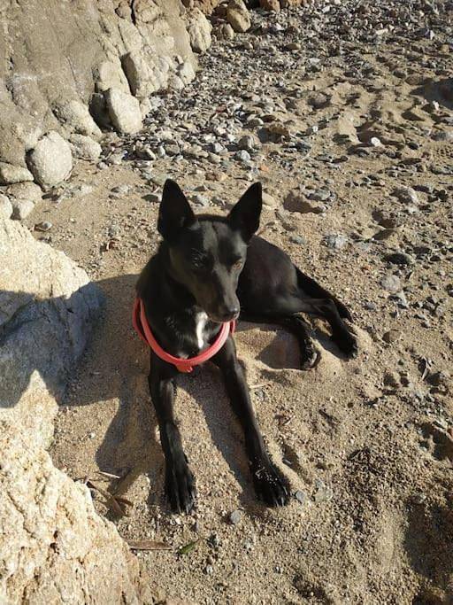 Location de vacances pour 2 personnes, avec piscine ainsi que jardin et vue à Saint-Romain-en-Viennois - 2