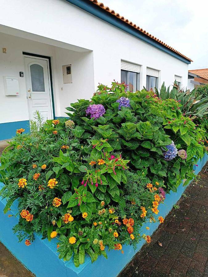 Casa de férias para 6 pessoas, com Terraço e Vista em Santa Cruz das Flores