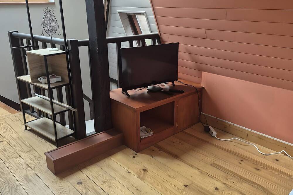 Entire apartment, Studio Tess Apartment with Wi-Fi in Salies-de-Béarn, Béarn