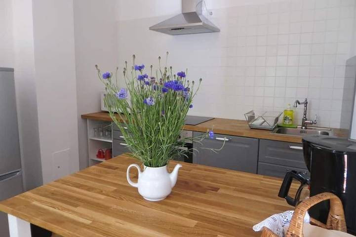 Apartment/2 Schlafräume/Dusche, Wc - Gästehaus Elfriede in Mörbisch am See, Leithaberg