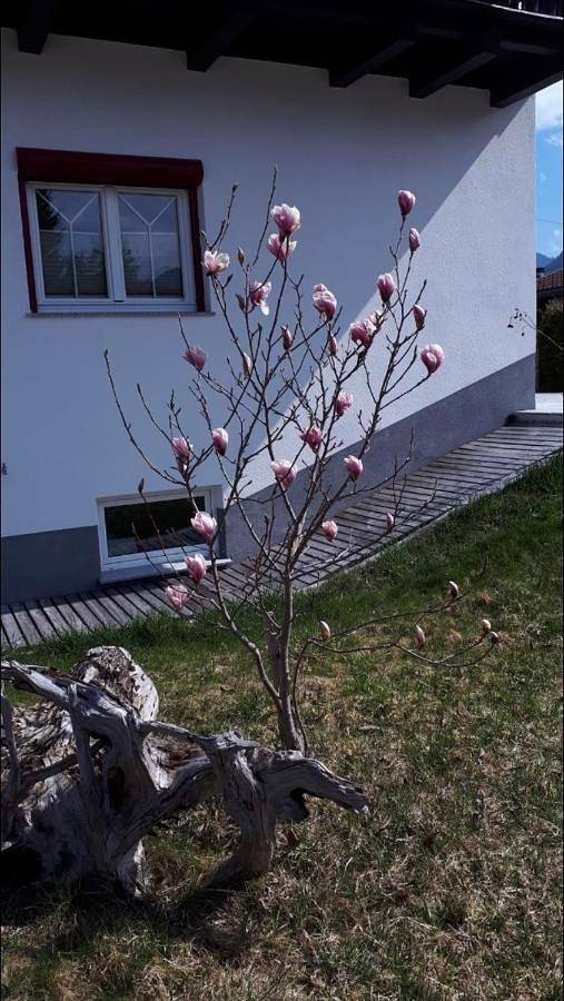 Ganze Wohnung, Apartments Schöll in Reutte, Außerfern