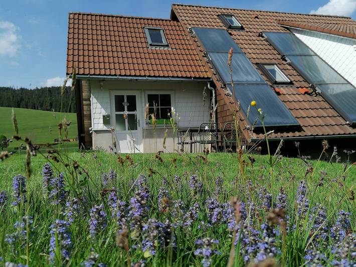 Ferienhaus Gulde - Ferienhaus Gulde, 65qm, max. 5 Personen in Furtwangen, Mittlerer Schwarzwald