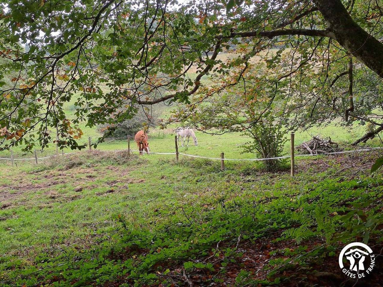 Emerald in Aiguefonde, Castres und Umgebung