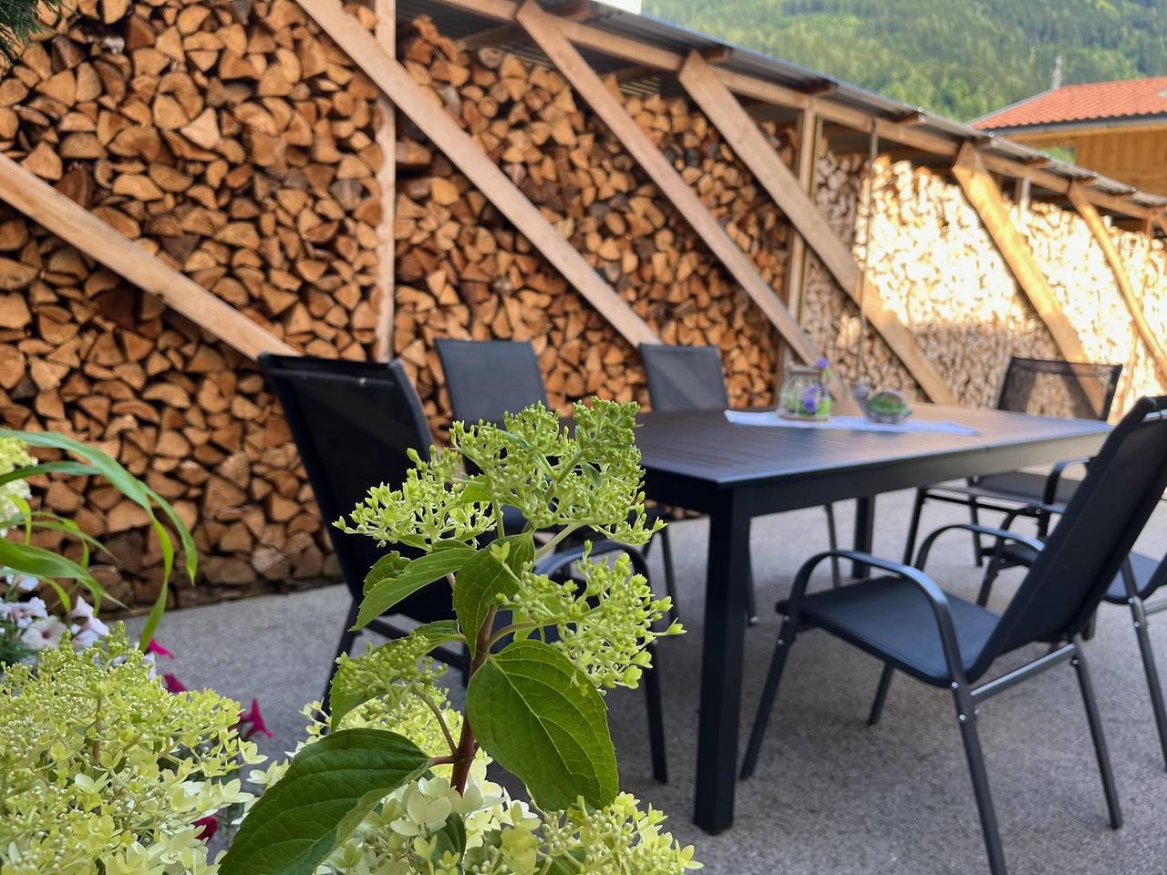 Ganze Ferienwohnung, Apart Steffi in Stumm, Ski-Optimal Hochzillertal