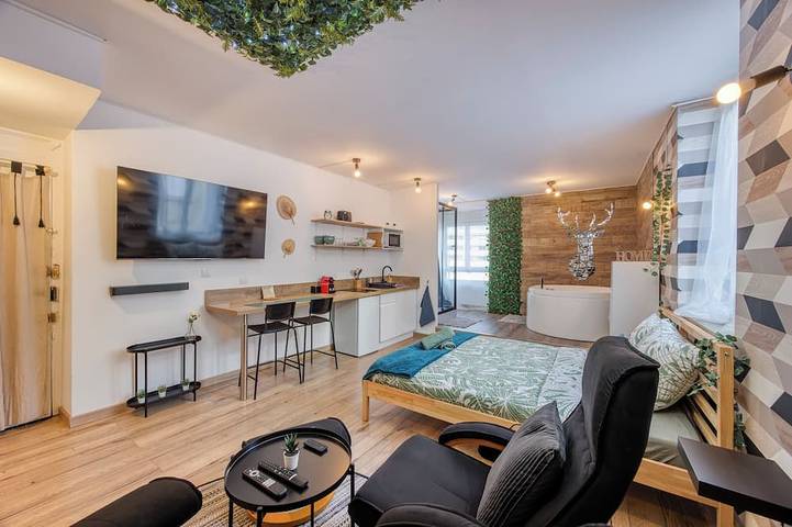 Entire apartment, Scandinavian spa in Saint-Étienne, Pilat Regional Nature Park