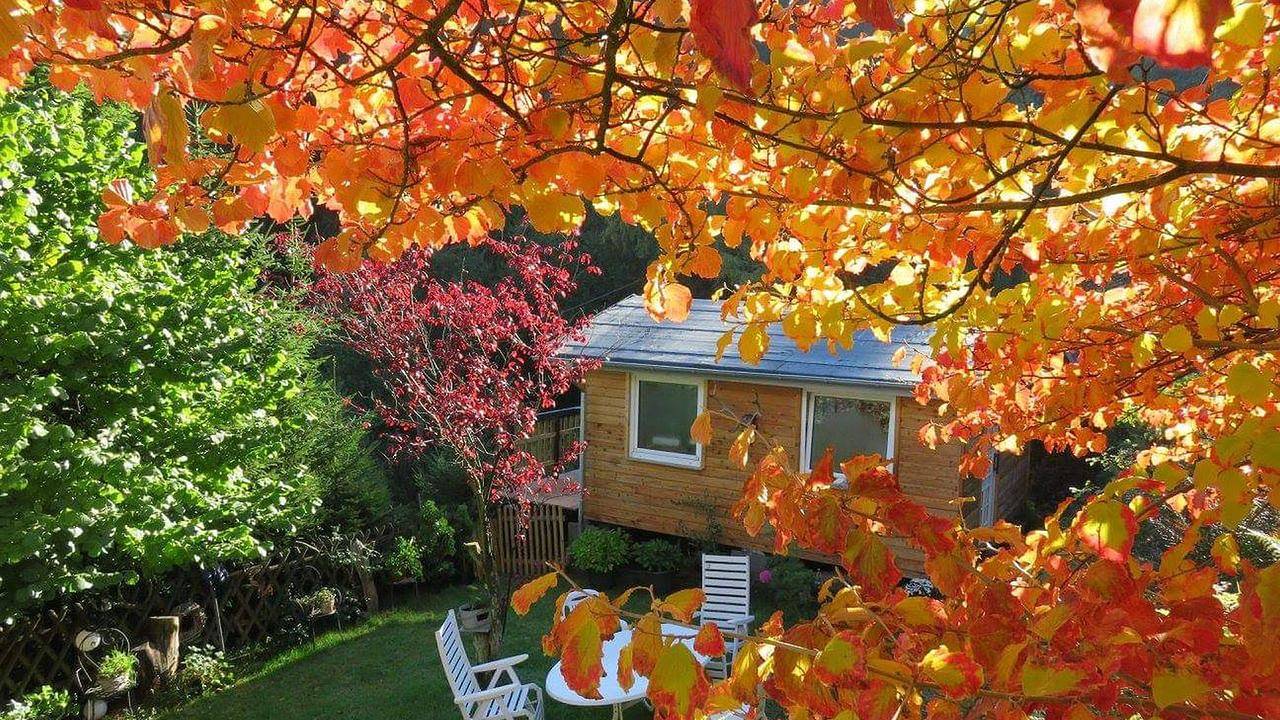 Ganze Ferienwohnung, Ferienwohnung für 3 Personen (50 m²) in Bestwig in Bestwig, Hochsauerlandkreis