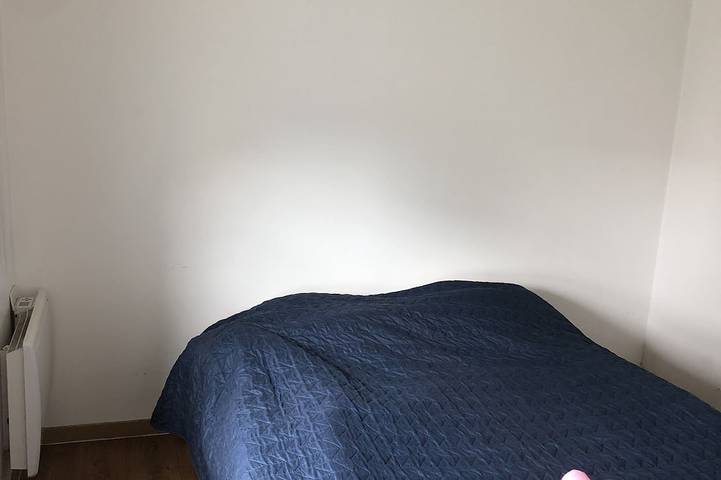 Gîte pour 3 personnes, avec terrasse et jardin à Aussonne - 2