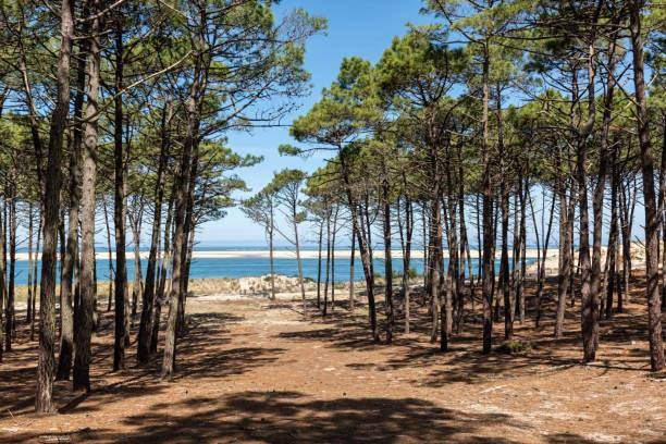 Location de vacances pour 4 personnes, avec piscine et terrasse ainsi que vue et bassin pour enfant, animaux acceptés à Bias - 2