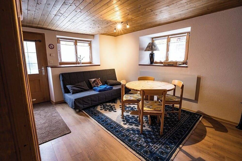 Ganze Wohnung, 2.5 Zimmer Ferienwohnung im schönen Valserhaus aus dem Jahre 1768 in Rheinwald, Hinterrhein