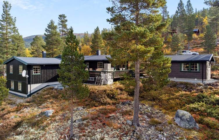 Ferienhaus für 9 Personen mit Garten in Rendalen