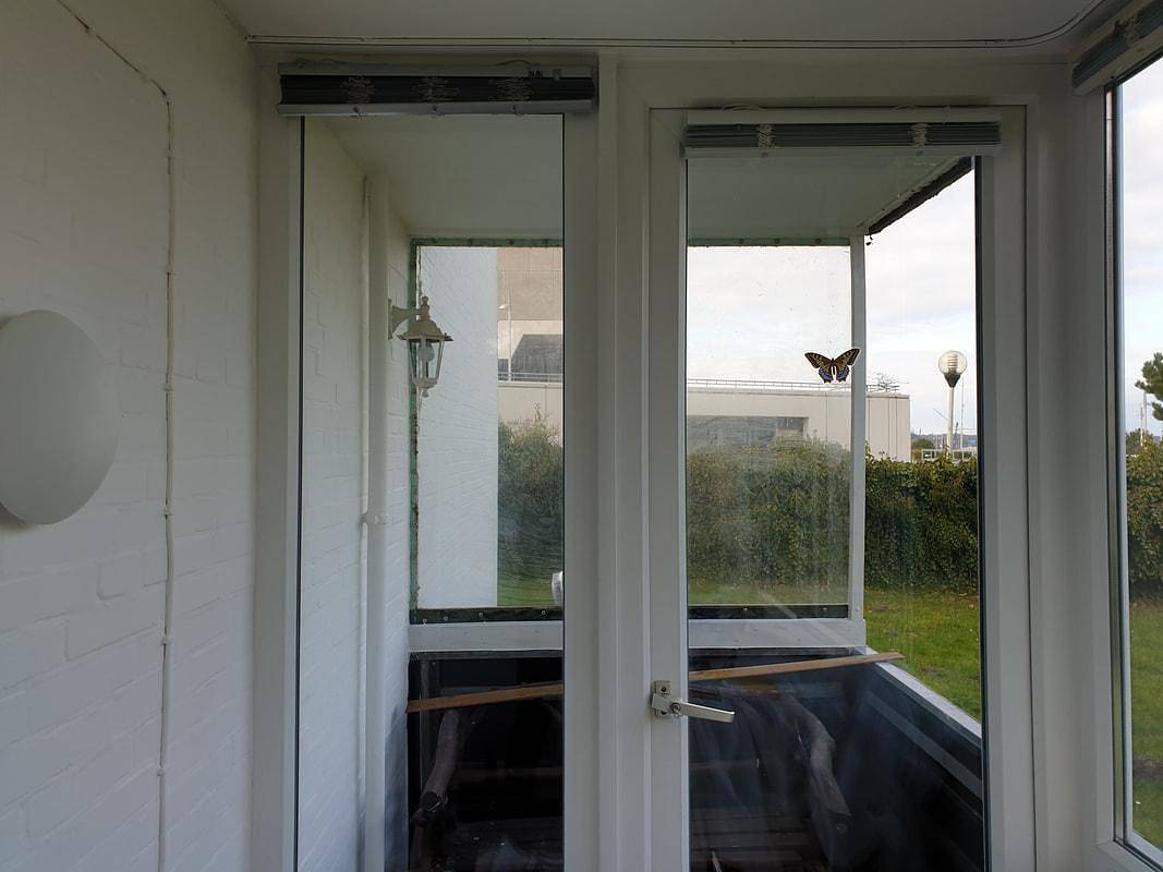 Ganze Ferienwohnung, Strandperle, Dusche, Wc, Wohn-/Schlafraum in Kieler Förde, Kiel
