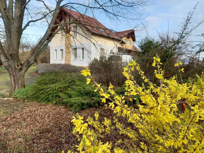 Pension voor 39 personen, met uitzicht en tuin in Hongarije