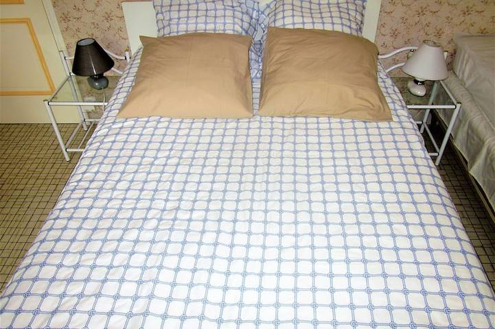 Villa pour 6 personnes, avec jardin et terrasse, animaux acceptés dans Ronce-les-Bains - 3