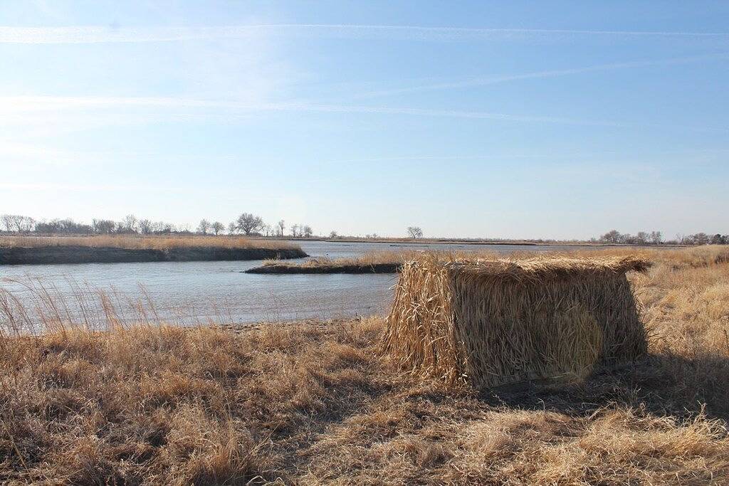 Crane and Nature Lovers Dream - Perfect for Crane Viewing! in Nebraska
