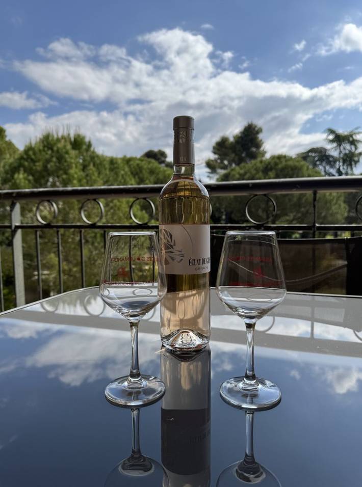 Gîte pour 6 personnes, avec terrasse à Uzès - 4