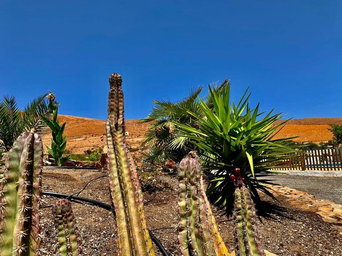 Villa Margarita in Betancuria, Fuerteventura
