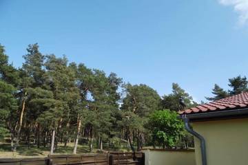 Bauernhof für 4 Personen, mit Garten und Terrasse im Harz