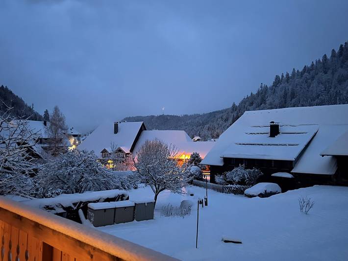Ferienwohnung für 9 Personen, mit Garten und Balkon, kinderfreundlich in Suedlicher Schwarzwald - 3