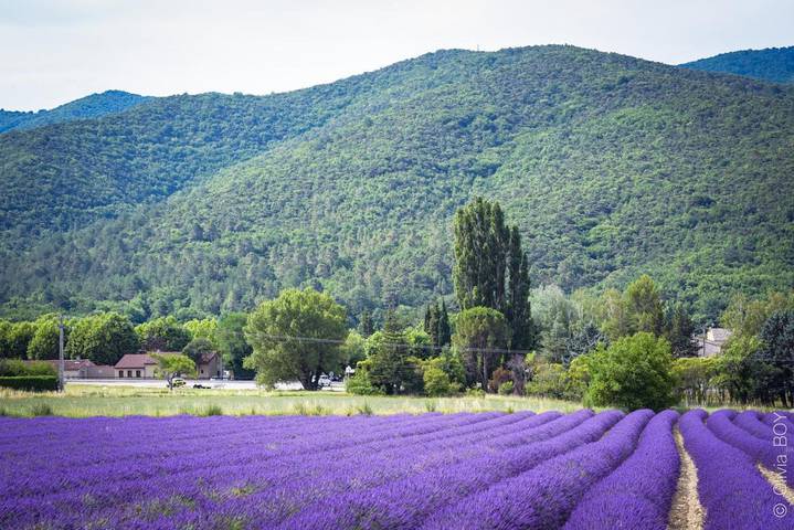 Gîte pour 2 personnes, avec jardin à Dieulefit - 3