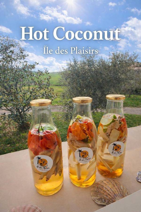 Maison d’hôte pour 2 personnes, avec jacuzzi ainsi que jardin et piscine dans le Tarn - 4