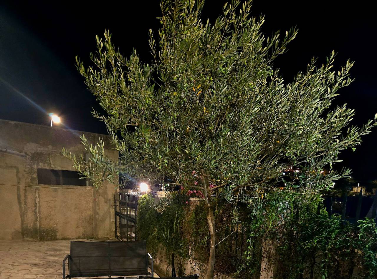 Ferienhaus für 6 Personen mit Meerblick in Mokosica, Dubrovnik-Neretva