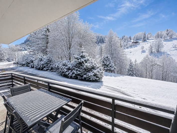 Apartamento entero, Apartamento acogedor cerca de pistas, 3*, capacidad 6, con WIFI in La Clusaz, Región de Annecy