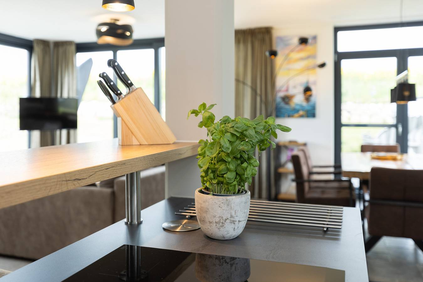 Irish Cottage Seeschwalbe in Hohenkirchen, Nordwestmecklenburg (Wismar und Umgebung)